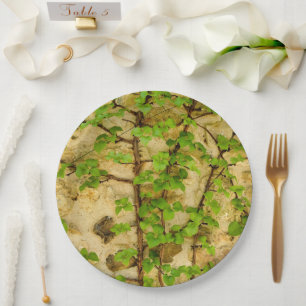 Prato De Papel Hydrangea petiolaris Paper Plate