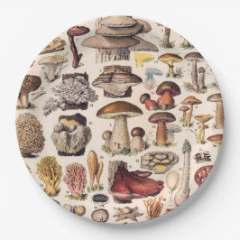 Prato De Papel Ilustração de Cogumelos Vintage por Adolphe Millot