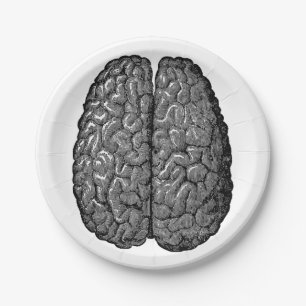 Prato De Papel Ilustração do cérebro humano do vintage