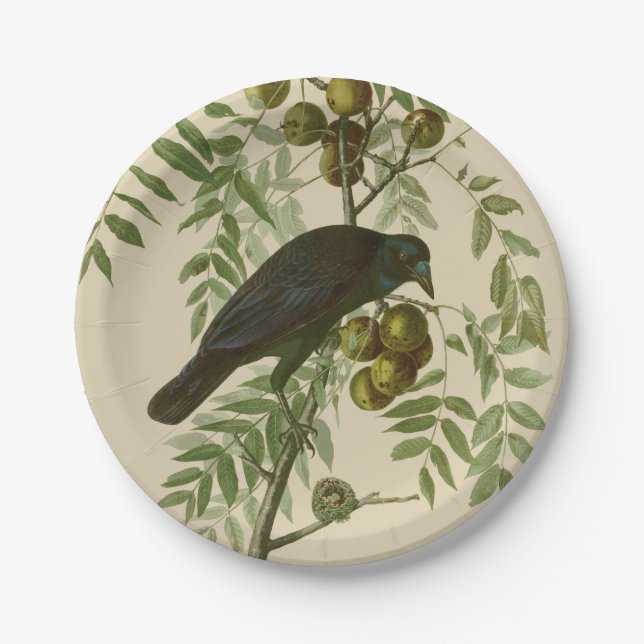 Prato De Papel Impressão de Pássaro do Gracal-Púrpura de Audubon  (Frente)