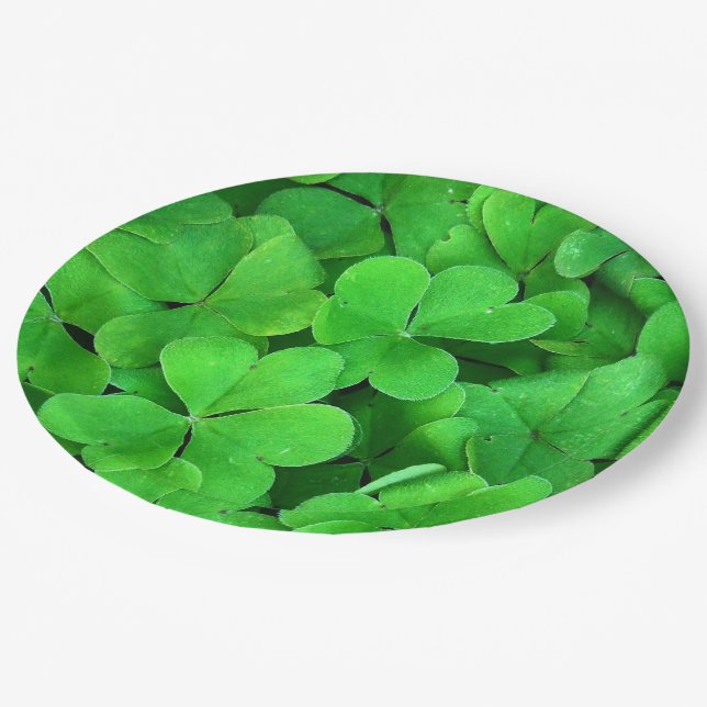 Prato De Papel Irish Clover (Inclinado)