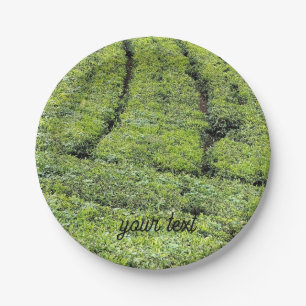 Prato De Papel Jardins de chá de Munnar em