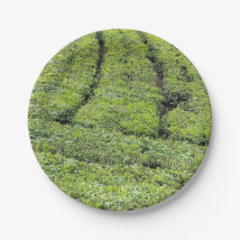 Prato De Papel Jardins de chá de Munnar em 