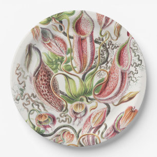 Prato De Papel Jarra de Planta Carnívora Vintage Ernst Haeckel