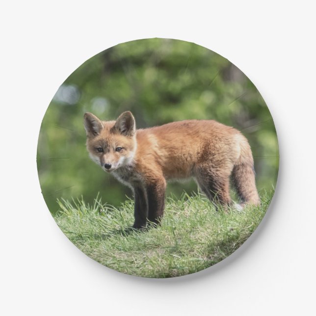 Prato De Papel Jogo do Fox vermelho (Frente)