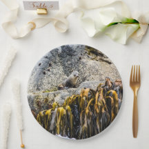 Jovem Selo De Peles Na Rocha