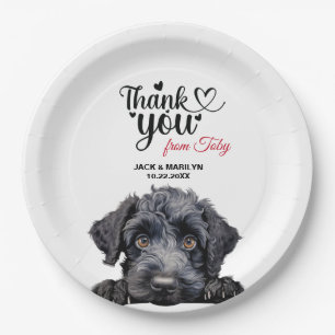 Prato De Papel Kerry Blue Terrier