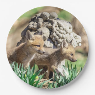 Prato De Papel Kits Fox no Vale do Hudson