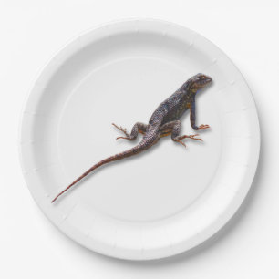 PRATO DE PAPEL LAGARTO