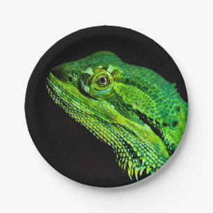 Prato De Papel Lagarto de dragão