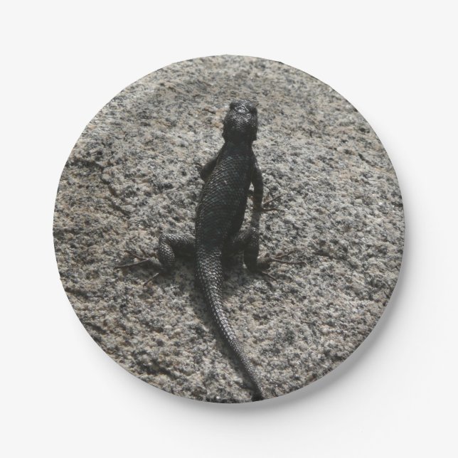 Prato De Papel Lagarto Preto (Frente)