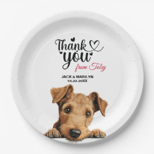 Prato De Papel Lakeland Terrier