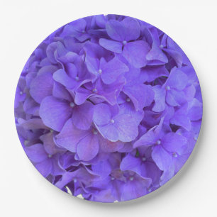 Prato De Papel Lavanda lilás púrpura Hidrópias Púrpuras Flores