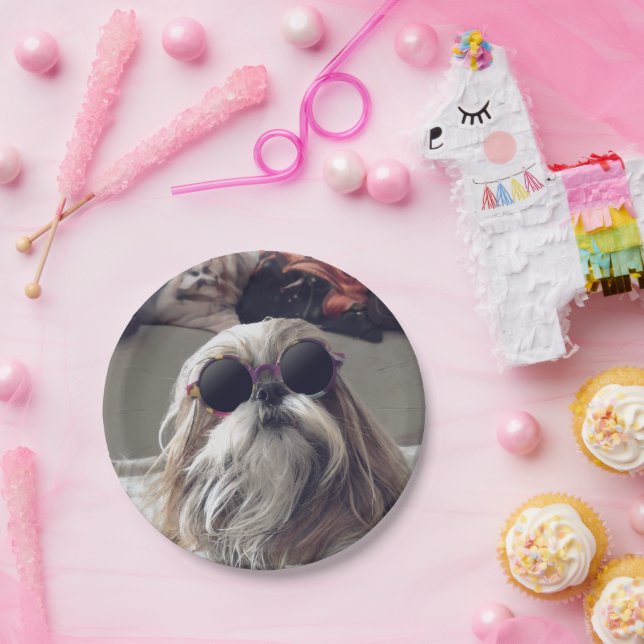 Prato De Papel Legal Shih Tzu longos óculos de sol (Festa)