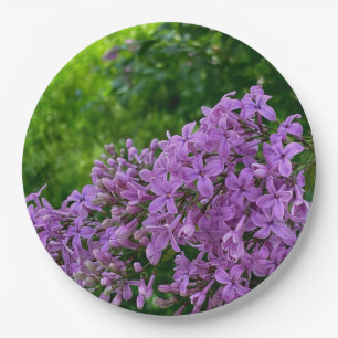 Prato De Papel Lilas roxas românticas elegantes foto floral roxa