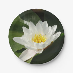Prato De Papel Lilly De Água Branca, Placa De Papel Flor De Lotus