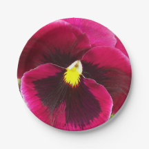 Linda Flor de Pansy Roxa