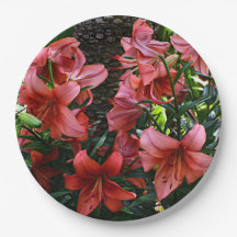 Lírios Asiáticos Laranja Floral