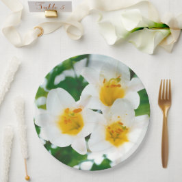 Prato De Papel Lírios brancos - Símbolo do amor
