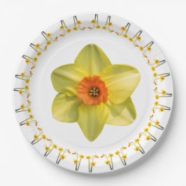 Prato De Papel Loucura.