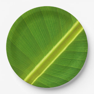 Prato De Papel Macro Banana Leaf