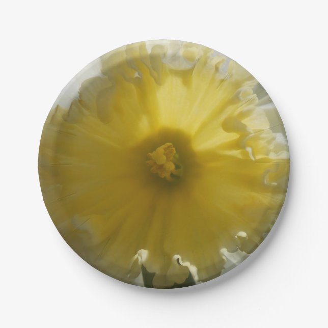 Prato De Papel Maenad (Frente)