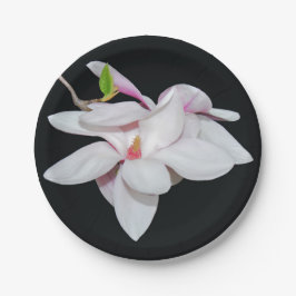 Prato De Papel Magnésia Branca