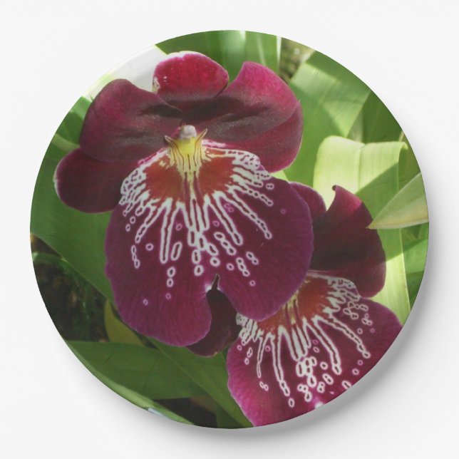 Prato De Papel Maroon Orchids II Elegante Floral (Frente)