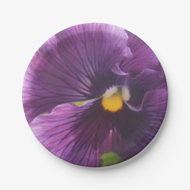 Prato De Papel Mecanismos (Frente)