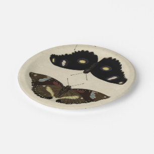 Prato De Papel Medley da Borboleta Colorida no Fundo de Creme