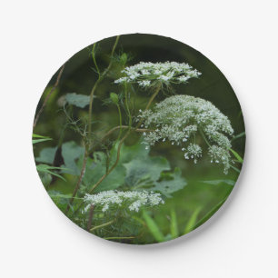 Prato De Papel modelo de placa de impressão