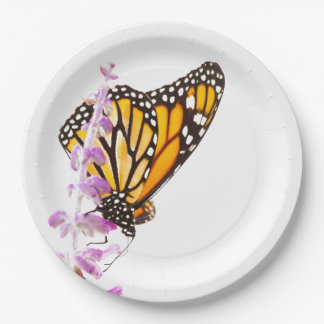 Prato De Papel Monarca empoleirada na lavanda