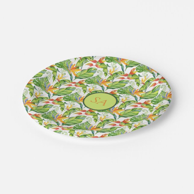 Prato De Papel Monstera Tropical De Cores Aquáticas Deixa Monogra (Inclinado)