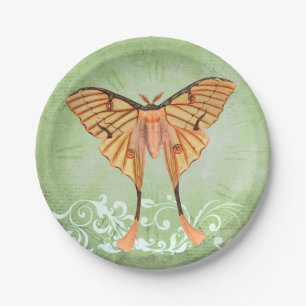 Prato De Papel Moth da Seda Africana