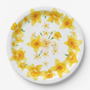Prato De Papel Narciso Daffodil Dourado Radial da Primavera Ensol