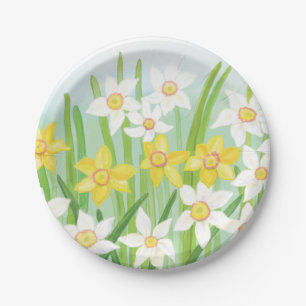 Prato De Papel Narcisos amarelos e brancos da primavera