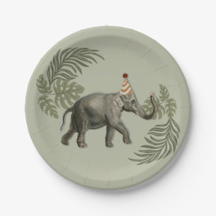 Prato De Papel Nascer Dois Sejam Placas De Papel De Aniversário S