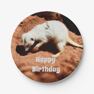 Prato De Papel Nature's Forager: White Meerkat Digging for Inseto