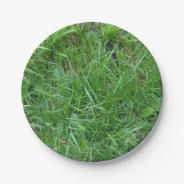 Prato De Papel Natureza, remendo da grama, placa de papel