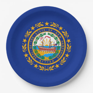 Prato De Papel New Hampshire State Flag Design