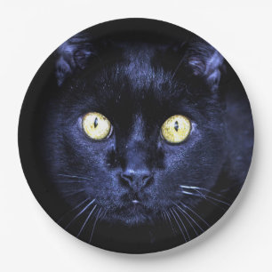 Prato De Papel Noite de horror de gato preto assustador do Hallow