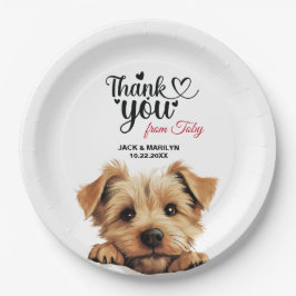 Prato De Papel Norfolk Terrier