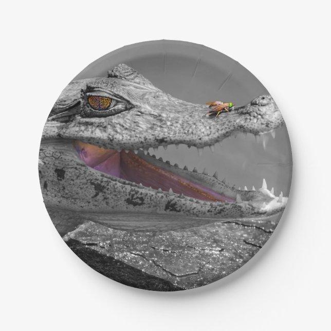 Prato De Papel O crocodilo sorridente e as moscas (Frente)
