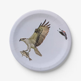 Prato De Papel O Osprey que está sendo perseguido por um vermelho