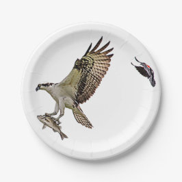 Prato De Papel O Osprey que está sendo perseguido por um vermelho