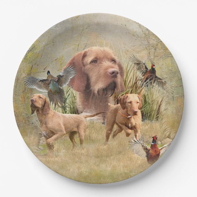 Prato De Papel O Wirehaired Vizsla húngaro (Frente)