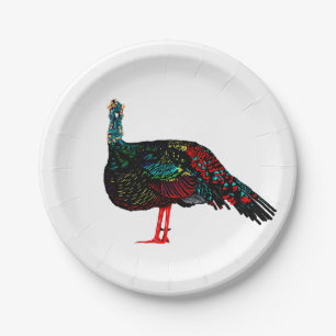 Prato De Papel Ocelled Turquia