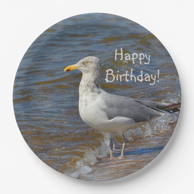 Prato De Papel Olhando a gaivota (Frente)