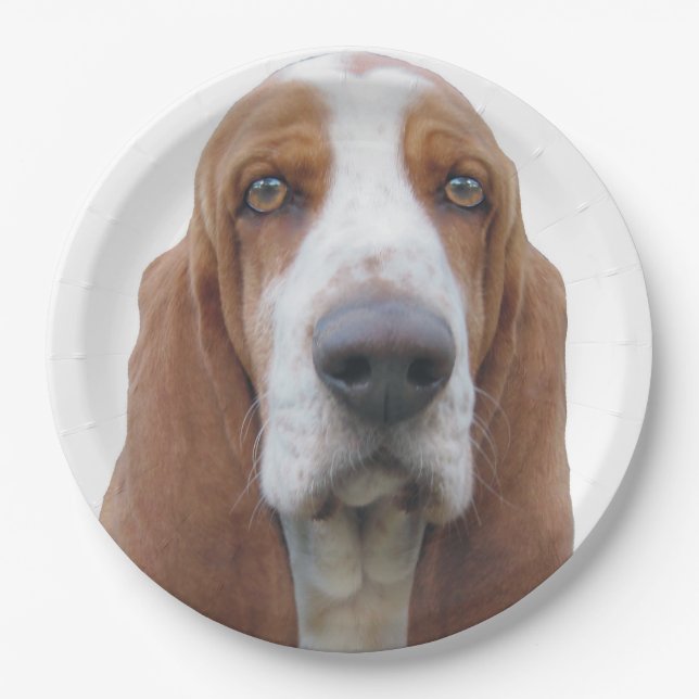 Prato De Papel Olhos brilhantes Basset Hound (Frente)