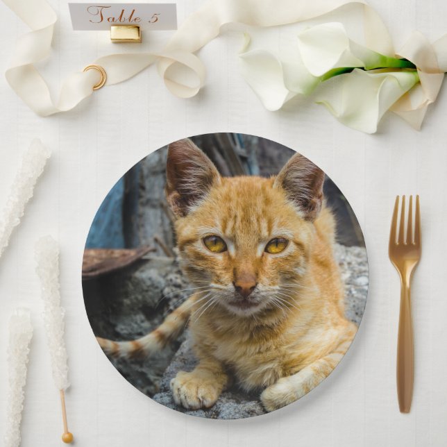 Prato De Papel Olhos de ouro (Casamento)